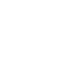 FlyFriends
